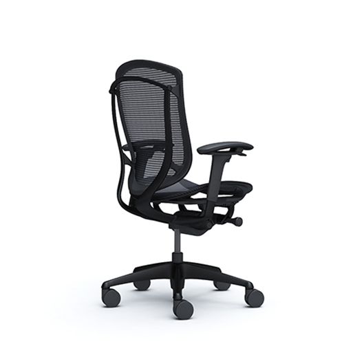 black ergonomic mesh chair