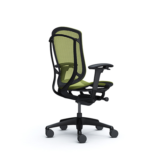 green ergonomic mesh chair