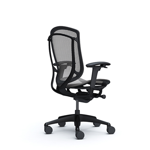 gray ergonomic mesh chair