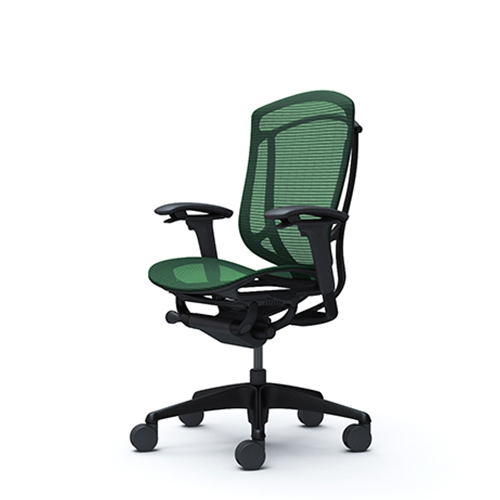 dark green ergonomic mesh chair